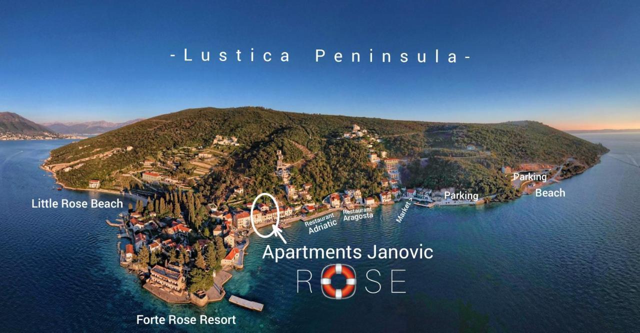 Rose - Apartmani Janovic Lustica Bagian luar foto